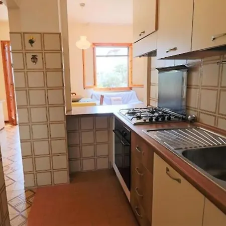 Samari * Галлиполи