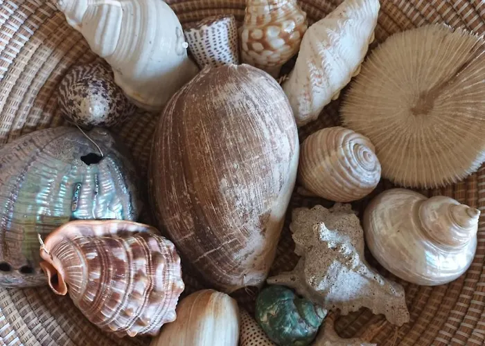 Samari Casa de Férias *